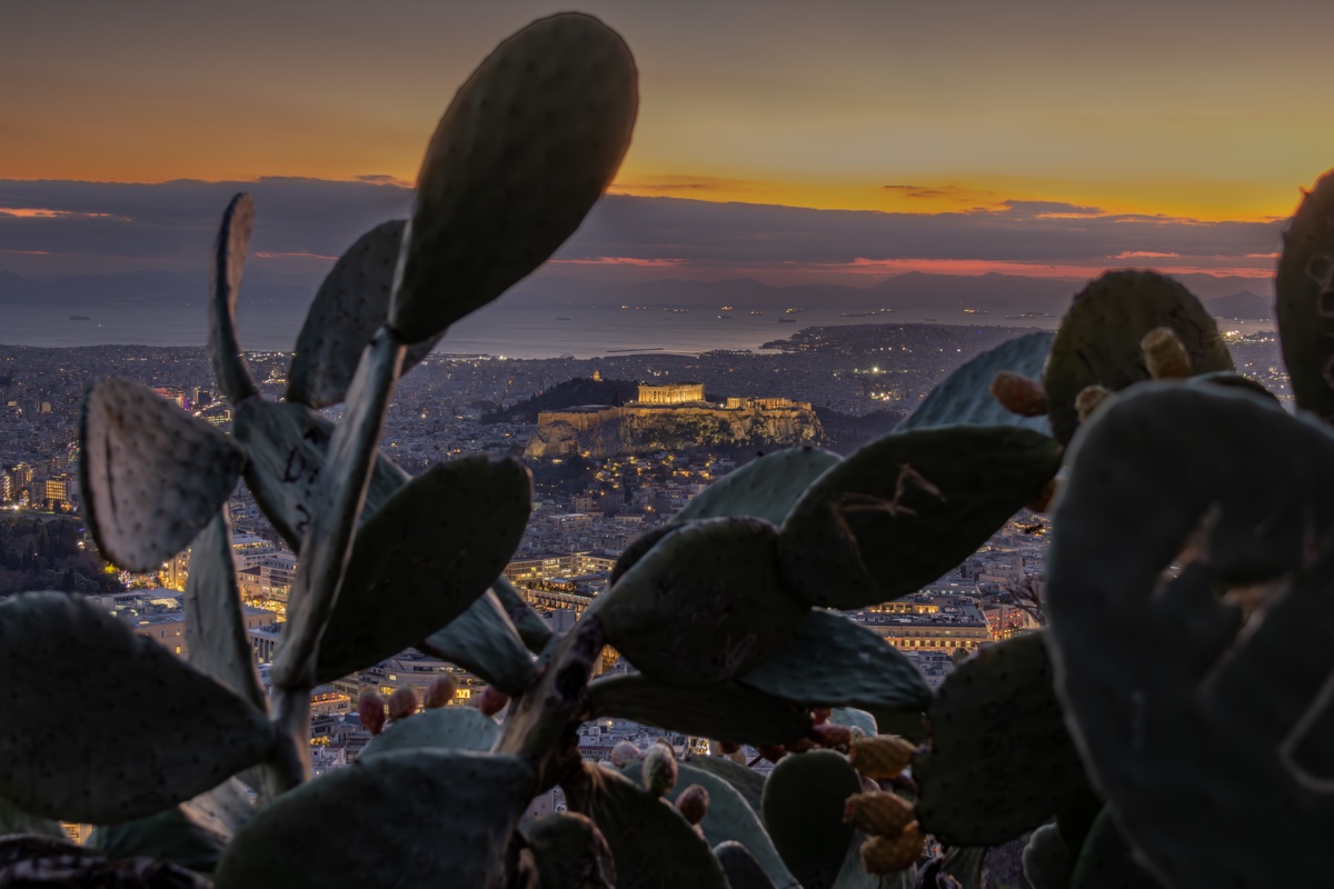 Acropolis Sunset Cactus Athens Skyline
