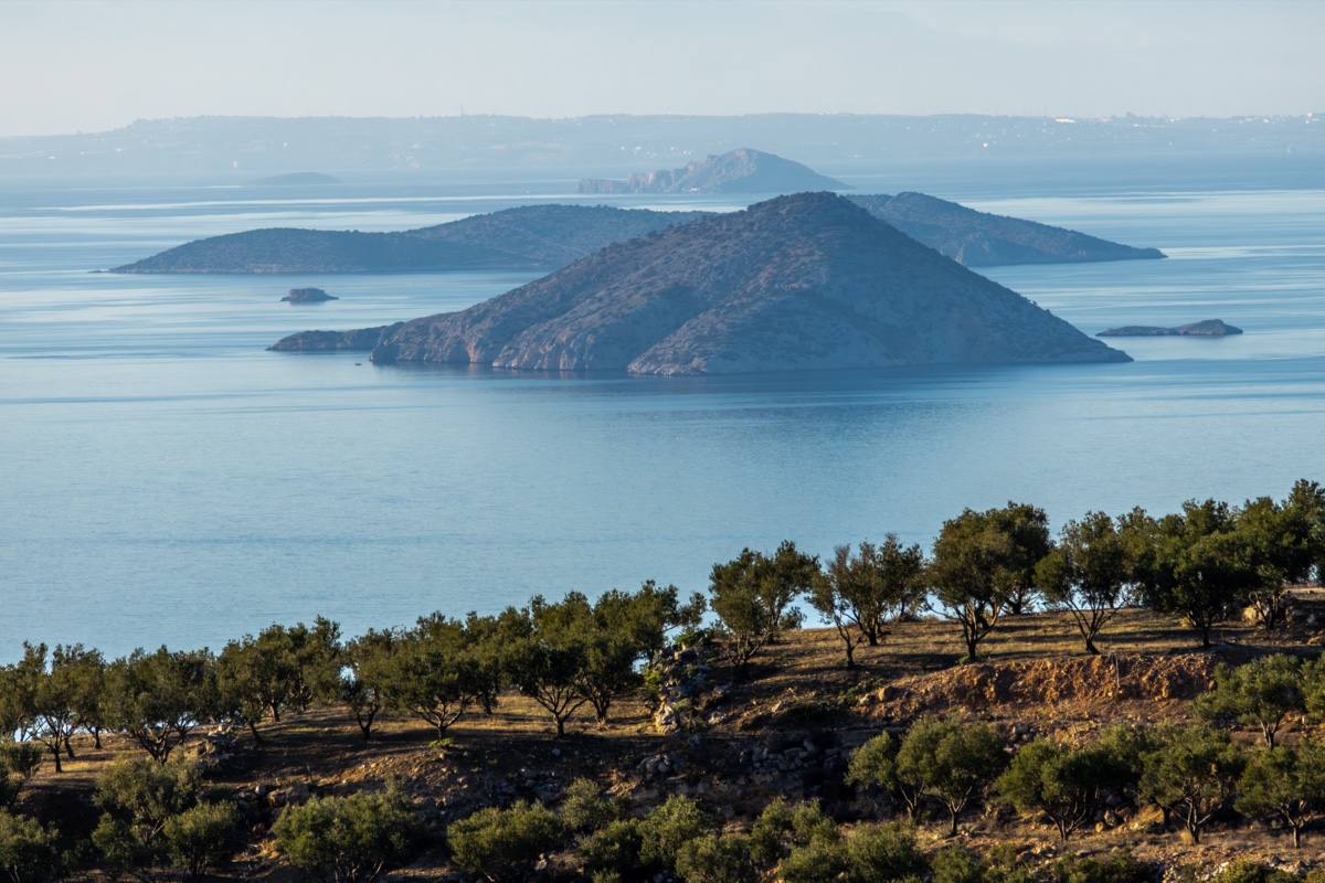 Aegina Olive Groves Sea Island View