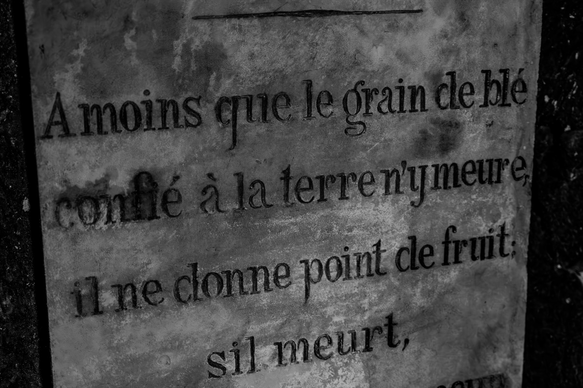 Catacombs Paris Grain De Ble Inscription
