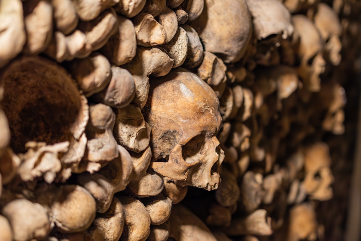 Catacombs Paris Skull Wall Closeup