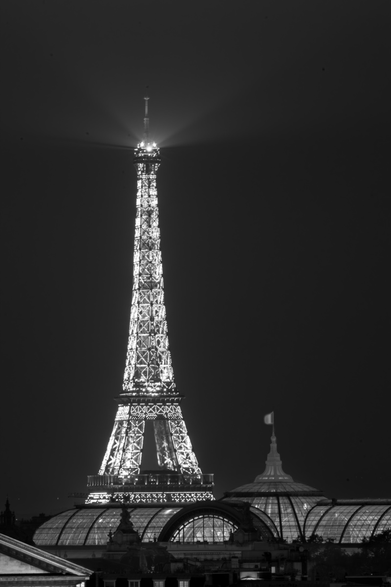 Eiffel Tower Grand Palais Black And White