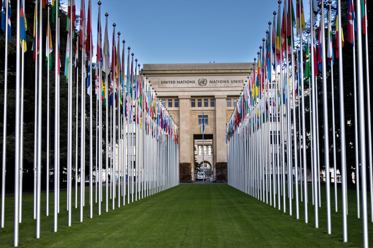 Geneva United Nations Avenue Of Flags