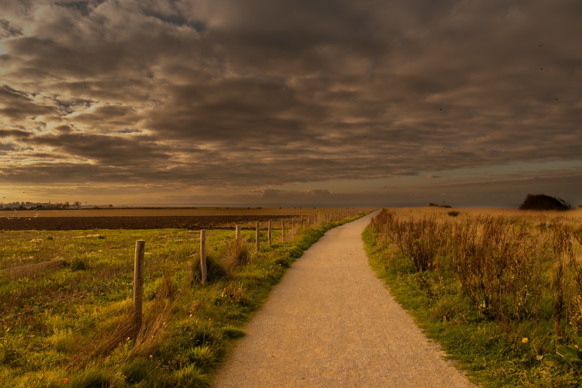 Pointe Du Hoc Country Path Golden Fields