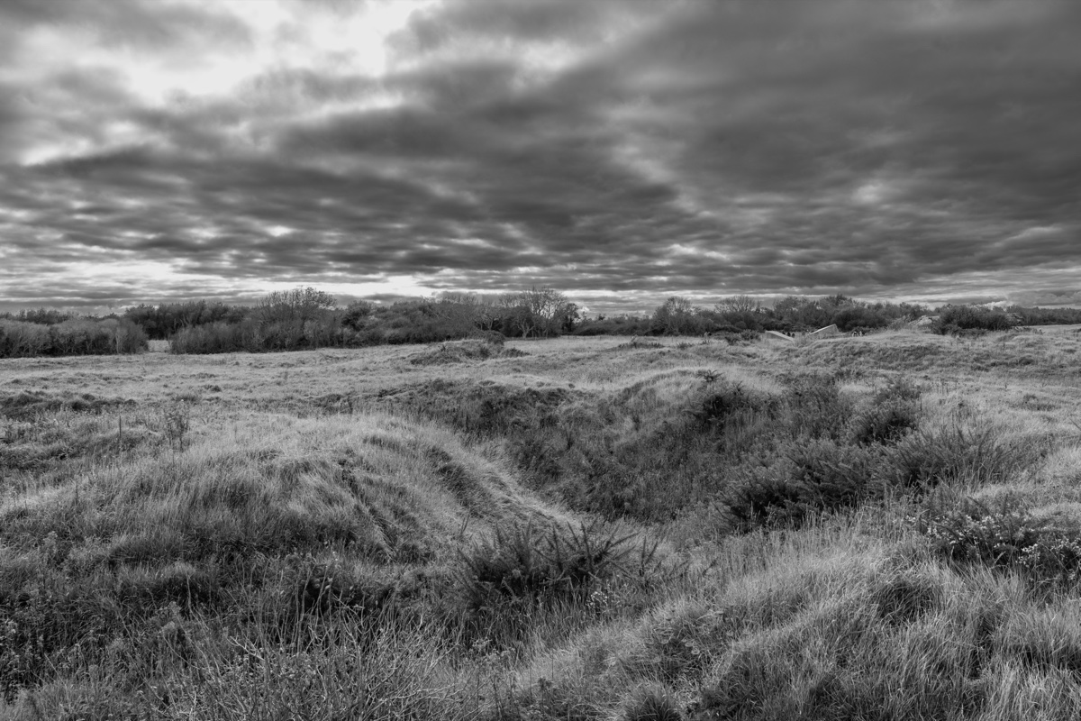 Pointe Du Hoc Cratered Field Bw